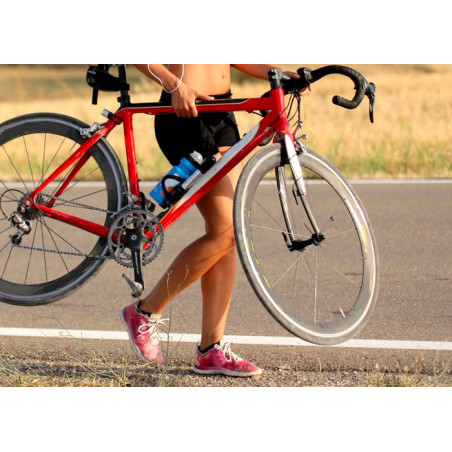 velo urban premimum