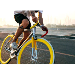 velo urban premimum